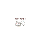 めっちゃちっちゃい♡﻿ねこのきもち（個別スタンプ：21）