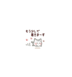 めっちゃちっちゃい♡﻿ねこのきもち（個別スタンプ：23）