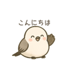 日常で使えるシマエナガちゃん＊敬語多め（個別スタンプ：2）