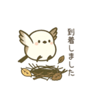 日常で使えるシマエナガちゃん＊敬語多め（個別スタンプ：25）