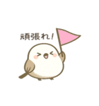 日常で使えるシマエナガちゃん＊敬語多め（個別スタンプ：37）