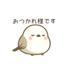 日常で使えるシマエナガちゃん＊敬語多め（個別スタンプ：40）