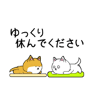 白い犬2(敬語編)（個別スタンプ：3）