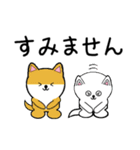 白い犬2(敬語編)（個別スタンプ：39）