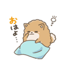 いやしの日常 ポメラニアン編2（個別スタンプ：1）