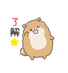 いやしの日常 ポメラニアン編2（個別スタンプ：2）