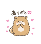 いやしの日常 ポメラニアン編2（個別スタンプ：3）