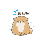 いやしの日常 ポメラニアン編2（個別スタンプ：4）