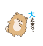 いやしの日常 ポメラニアン編2（個別スタンプ：8）