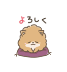 いやしの日常 ポメラニアン編2（個別スタンプ：10）