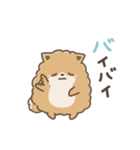 いやしの日常 ポメラニアン編2（個別スタンプ：15）
