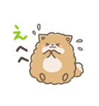 いやしの日常 ポメラニアン編2（個別スタンプ：16）