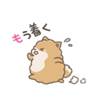 いやしの日常 ポメラニアン編2（個別スタンプ：18）