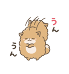 いやしの日常 ポメラニアン編2（個別スタンプ：19）