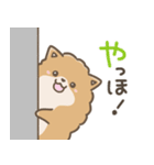 いやしの日常 ポメラニアン編2（個別スタンプ：21）