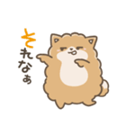 いやしの日常 ポメラニアン編2（個別スタンプ：22）