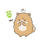 いやしの日常 ポメラニアン編2（個別スタンプ：23）