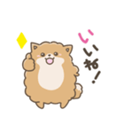 いやしの日常 ポメラニアン編2（個別スタンプ：25）
