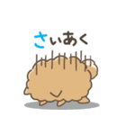いやしの日常 ポメラニアン編2（個別スタンプ：26）