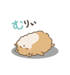 いやしの日常 ポメラニアン編2（個別スタンプ：28）