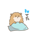 いやしの日常 ポメラニアン編2（個別スタンプ：32）