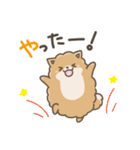 いやしの日常 ポメラニアン編2（個別スタンプ：35）