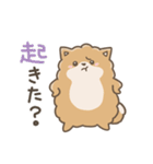 いやしの日常 ポメラニアン編2（個別スタンプ：38）