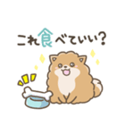 いやしの日常 ポメラニアン編2（個別スタンプ：40）