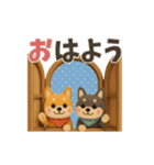 【冬】柴犬コンビのぬくもり便（個別スタンプ：1）