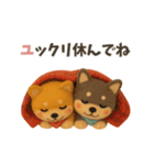 【冬】柴犬コンビのぬくもり便（個別スタンプ：9）