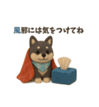【冬】柴犬コンビのぬくもり便（個別スタンプ：10）