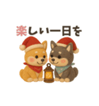 【冬】柴犬コンビのぬくもり便（個別スタンプ：14）