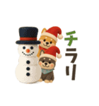 【冬】柴犬コンビのぬくもり便（個別スタンプ：16）