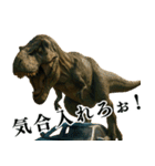 ⚫ティラノサウルス(毎日使える恐竜シリーズ（個別スタンプ：20）