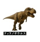 ⚫ティラノサウルス(毎日使える恐竜シリーズ（個別スタンプ：40）