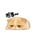 猫ちゃんスタンプ♡①（個別スタンプ：9）