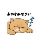 猫ちゃんスタンプ♡①（個別スタンプ：15）
