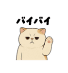 猫ちゃんスタンプ♡①（個別スタンプ：16）