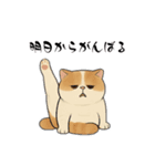 猫ちゃんスタンプ♡①（個別スタンプ：18）