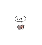 小さい赤ちゃんカバ(フキダシ)（個別スタンプ：5）