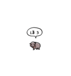 小さい赤ちゃんカバ(フキダシ)（個別スタンプ：13）