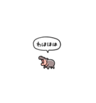 小さい赤ちゃんカバ(フキダシ)（個別スタンプ：18）