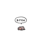 小さい赤ちゃんカバ(フキダシ)（個別スタンプ：19）