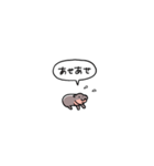 小さい赤ちゃんカバ(フキダシ)（個別スタンプ：27）