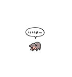 小さい赤ちゃんカバ(フキダシ)（個別スタンプ：39）