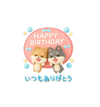 【BIG】柴犬の誕生日＆お祝い＆ありがとう（個別スタンプ：6）