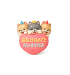 【BIG】柴犬の誕生日＆お祝い＆ありがとう（個別スタンプ：10）