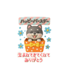 【BIG】柴犬の誕生日＆お祝い＆ありがとう（個別スタンプ：12）