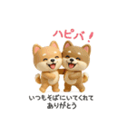 【BIG】柴犬の誕生日＆お祝い＆ありがとう（個別スタンプ：17）