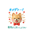 【BIG】柴犬の誕生日＆お祝い＆ありがとう（個別スタンプ：23）